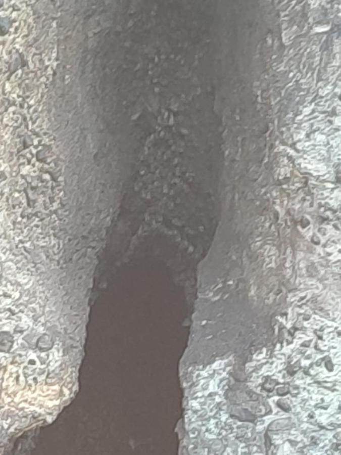 شقة Les Cactus Bellefontaine المظهر الخارجي الصورة